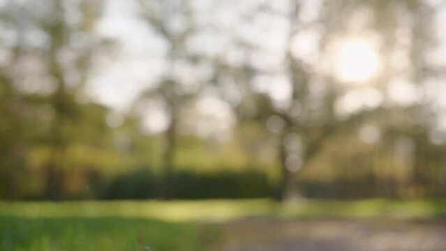 Blurred background of green park with sun light