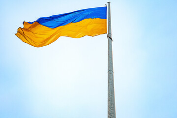 Ukraine flags