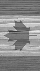 Fragment of Canadian flag on a dry wooden surface. Black and white vertical background. Mobile phone wallpaper made of old wood. Maple leaf of Canada