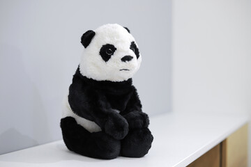 Plush toy panda sits on a shelf © VP