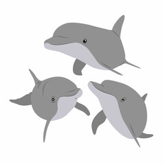 A group of three Common bottlenose dolphins swim in the water. Realistic vector animal