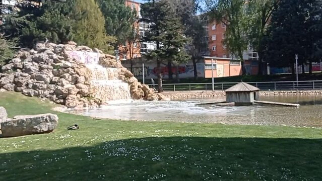 Cascada y charca de un parque en primavera.