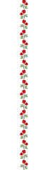 Fototapeta Linia pionowa róże  obraz