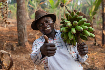 Happy and positive African farmer on his banana plantain does the thumbs up with his hand © Media Lens King