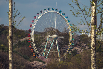 Ferris wheel, amusement park, Everland