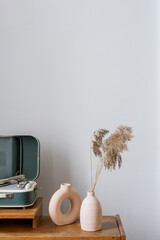 Old fashioned vinyl player close to dry plants in vase