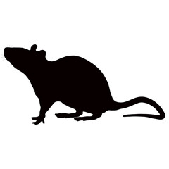 Black silhouette of a mouse on a white background. Vector image.
