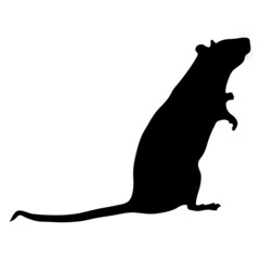 Black silhouette of a mouse on a white background. Vector image