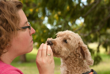 TARDE EN EL PARQUE CON MASCOTAS. FOTOGRAFIA HORIZONTAL. COLOR
