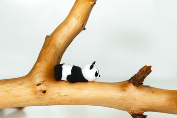 Plasticine panda hangs on a branch.