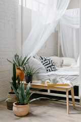 Breakfast tray, home decor and houseplants in bright boho bedroom © brizmaker