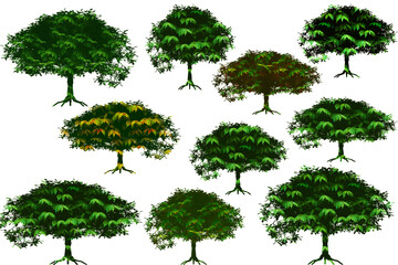 Fototapeta premium Realistic trees isolated on white background.