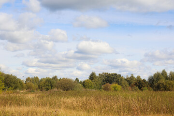 Fototapeta premium Rural landscape with filed in a countryside.