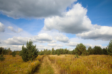 Fototapeta premium Rural landscape with ground road and filed in a countryside