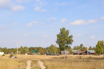 Rural landscape with small russian village in the forest near