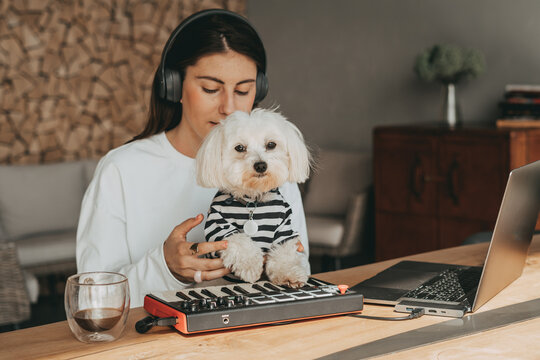 Music creation on midi keyboard with dog maltese
