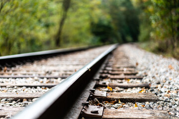 Close up of Railroad Track in Woods