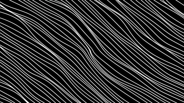 The background is made with elements of abstraction. Motion. Bright red and dark black background on which bright white thin lines flicker and move like snakes