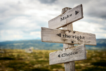 make the right choice text quote written in wooden signpost outdoors in nature. Moody theme feeling.