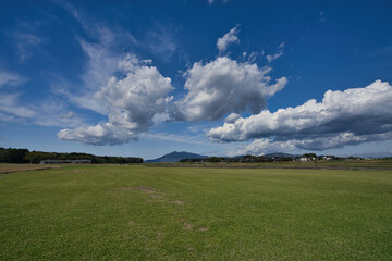 茨城県は芝の生産量が日本一
