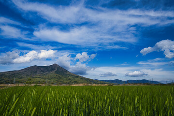 大自然、筑波山