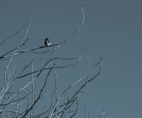 Fotografías Luna Guillén Aguirre
