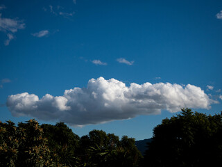 Fotografías Luna Guillén Aguirre