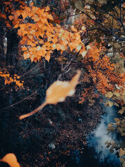 Fotografías Luna Guillén Aguirre