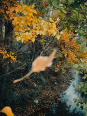 Fotografías Luna Guillén Aguirre