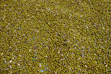 mung bean seed granules form a texture