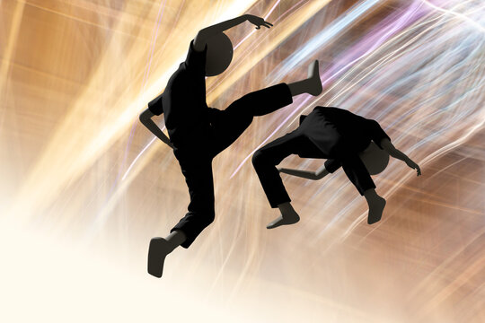 武術による戦い