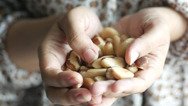  Brazilian nut on palm of hand 
