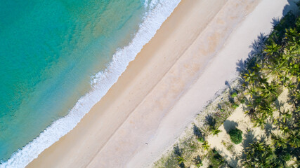 Aerial view sandy beach and waves Beautiful tropical sea in the morning in summer season with coconut palm trees on beach. Aerial view drone shot. high angle view Top down seascape