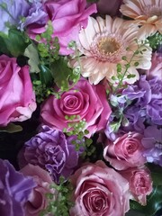 Pink flowers