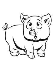 Obraz na płótnie Canvas Schwein Ferkel Tier 