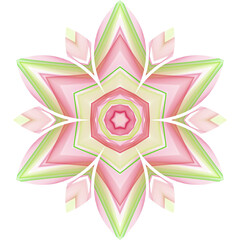 lotus flower vector