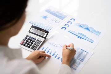 Business Accountant Using Finance Chart Document