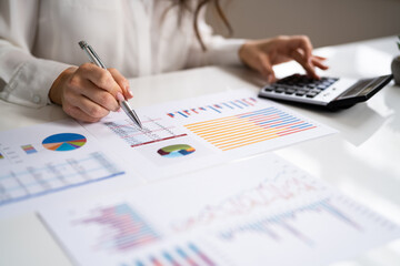 Business Accountant Using Finance Chart Document