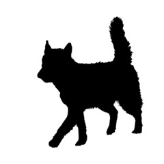 Dog silhouette isolated on white background. Walking siberian husky. Dog of breed alaskan malamute.Pet dog black icon.Watchdog symbol.Large husky breed housedog.Dog training school.Vector illustration