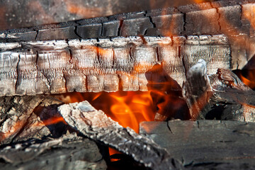 orange flame of fire while burning branches and firewood
