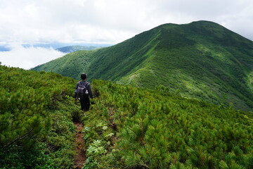 Obraz premium 登山