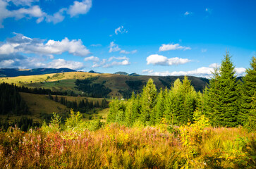 Panoramic mountain view. Summer in the mountains