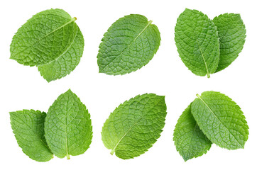 Green mint leaves isolated on white