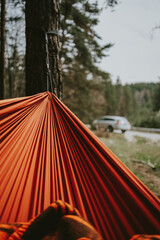 hammock in the forest