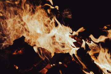 Campfire flames background