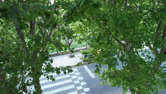 Image of a road through the trees with cars passing over the crosswalk at Lisbon,Portugal