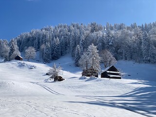 Traditional Swiss architecture and wooden alpine houses in the winter ambience of fresh white snow cover, Nesslau - Obertoggenburg, Switzerland (Schweiz)