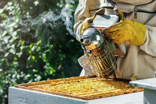 A beekeeper works in an apiary near a beehive. Natural honey production. Beekeeping concept. Copyspace. - Powered by Adobe