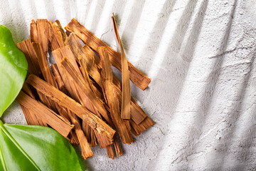 Uncaria tomentosa. Cat's claw, medicinal plant.