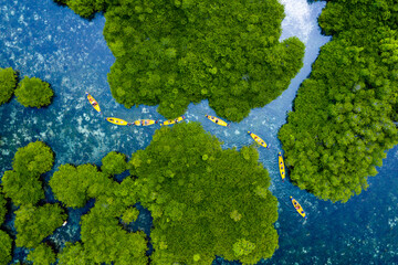 St. Cruz island zambonga Philippines mangrove drone shot